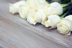 White Rose. A bouquet of delicate roses on a white background. Place for text, close up. Romantic background for spring holidays.