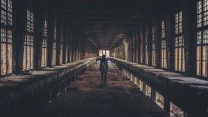 Cristina gottardi 190566 unsplash