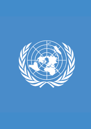 United nations 01